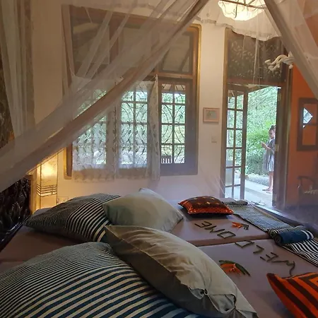 Singharaja Garden Agro Eco Lodge Pelawatta  Room photo