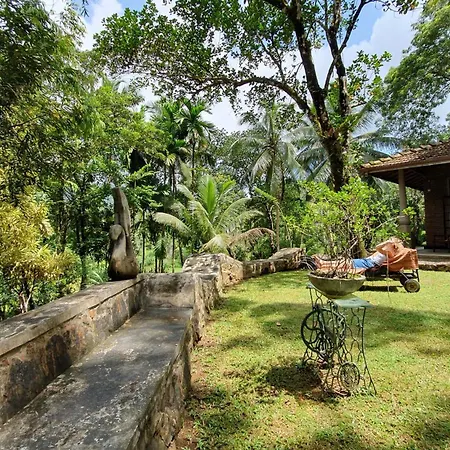 Singharaja Garden Agro Eco Lodge Pelawatta  Room photo