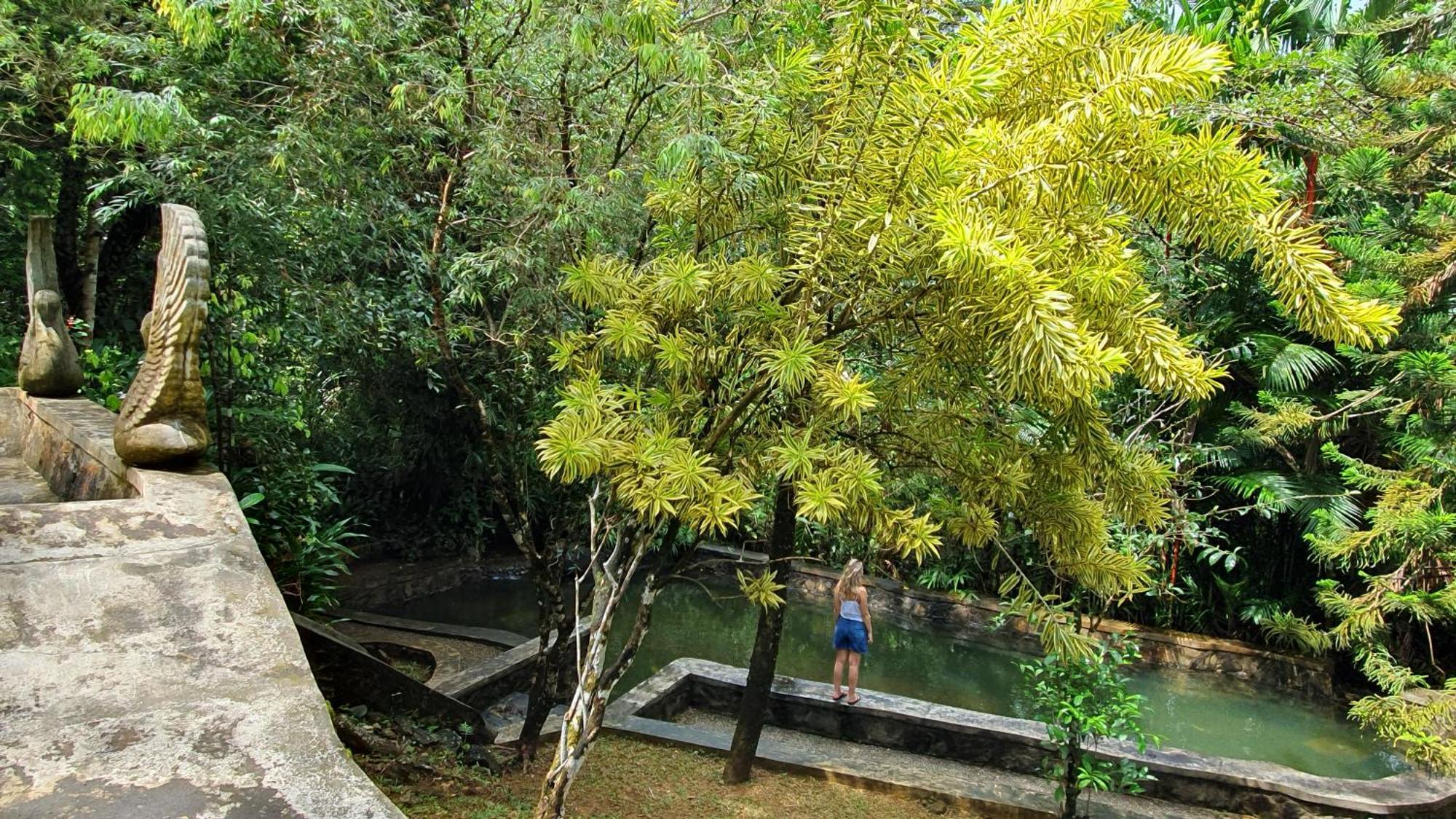 Singharaja Garden Agro Eco * Pelawatta (Kalutara)