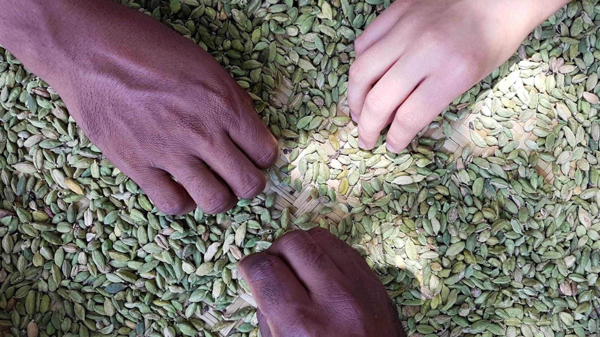 Singharaja Garden Agro Eco Pelawatta (Kalutara)