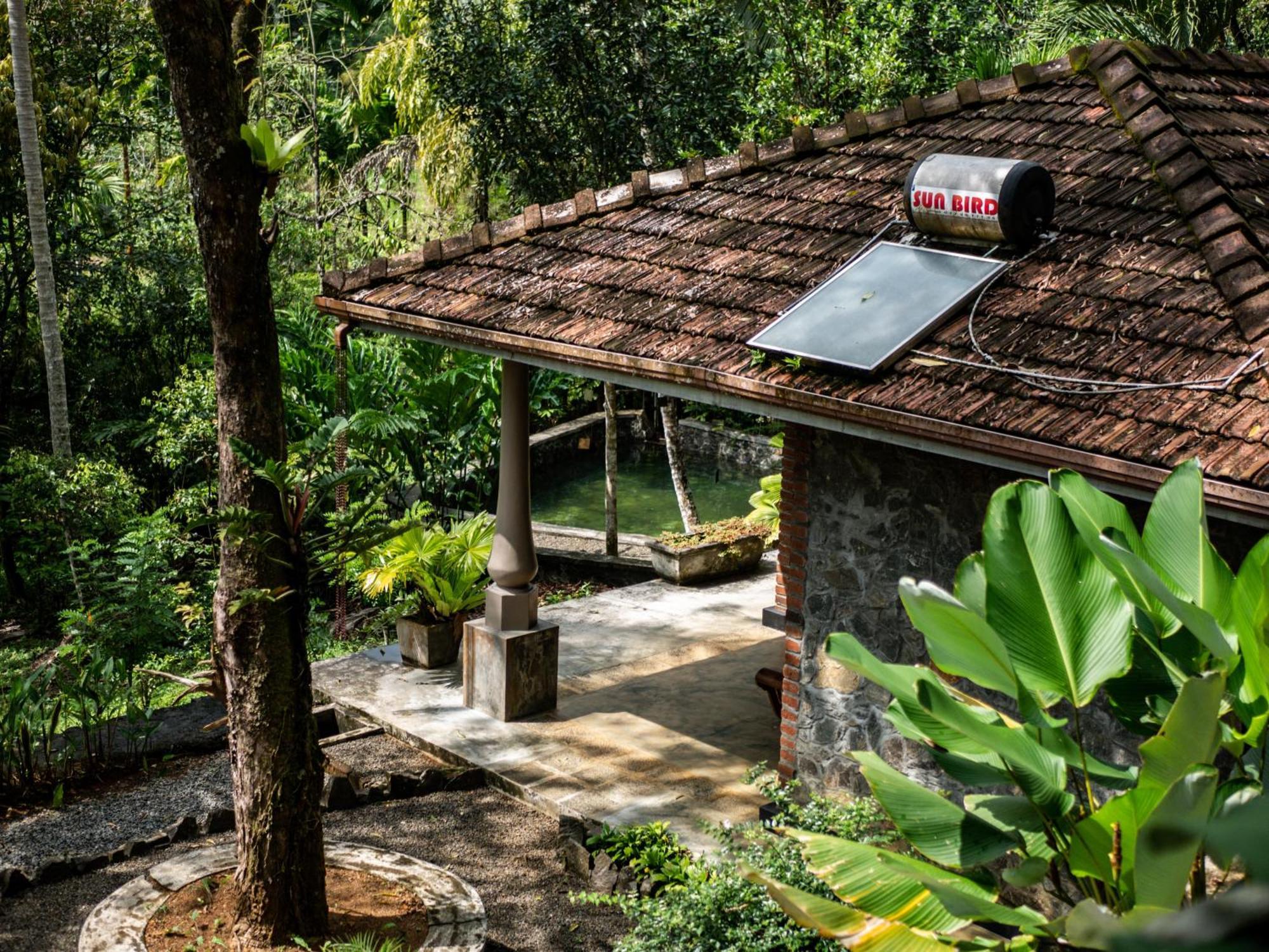 Singharaja Garden Agro Eco Pelawatta (Kalutara)