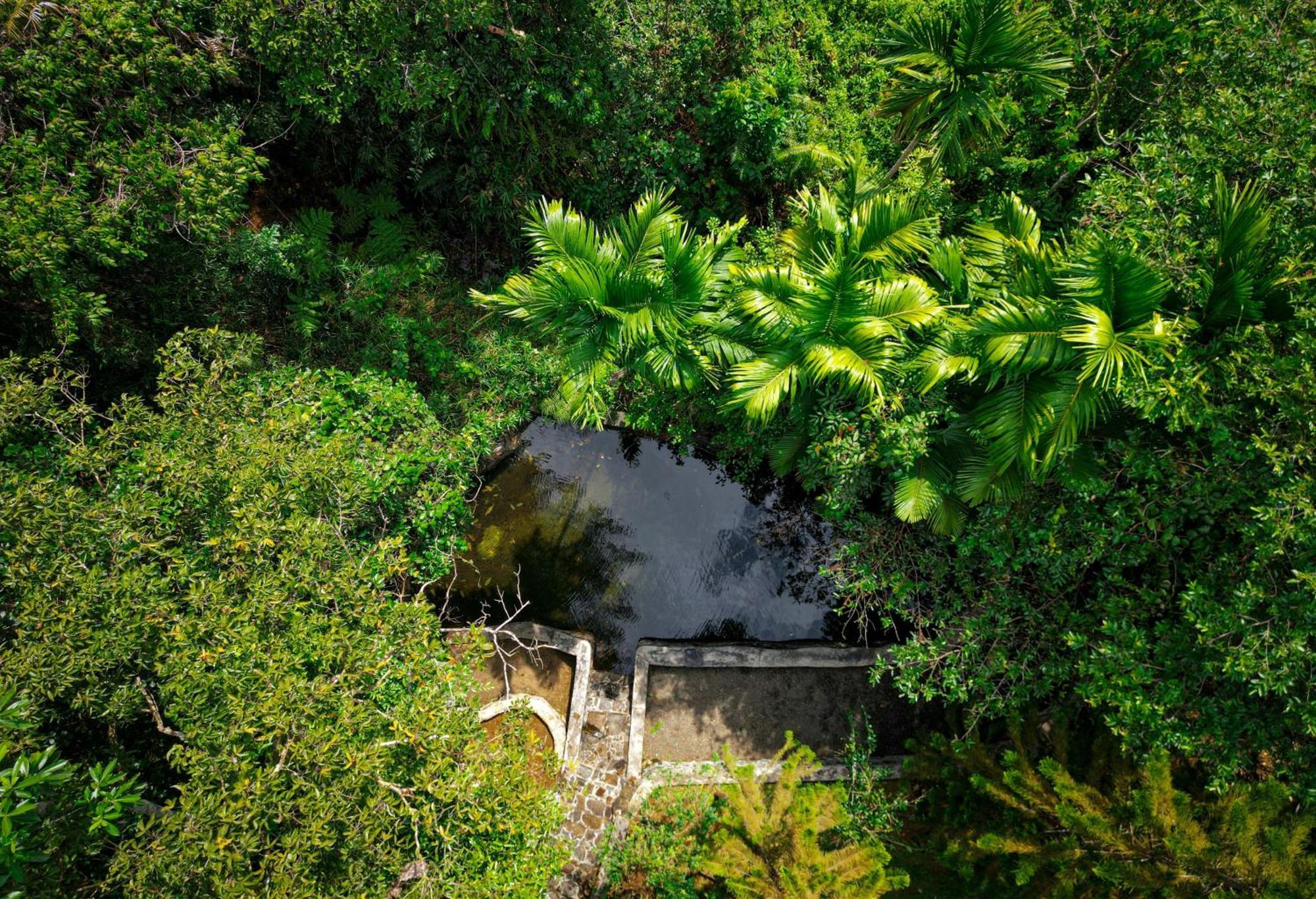 Singharaja Garden Agro Eco * Pelawatta (Kalutara)