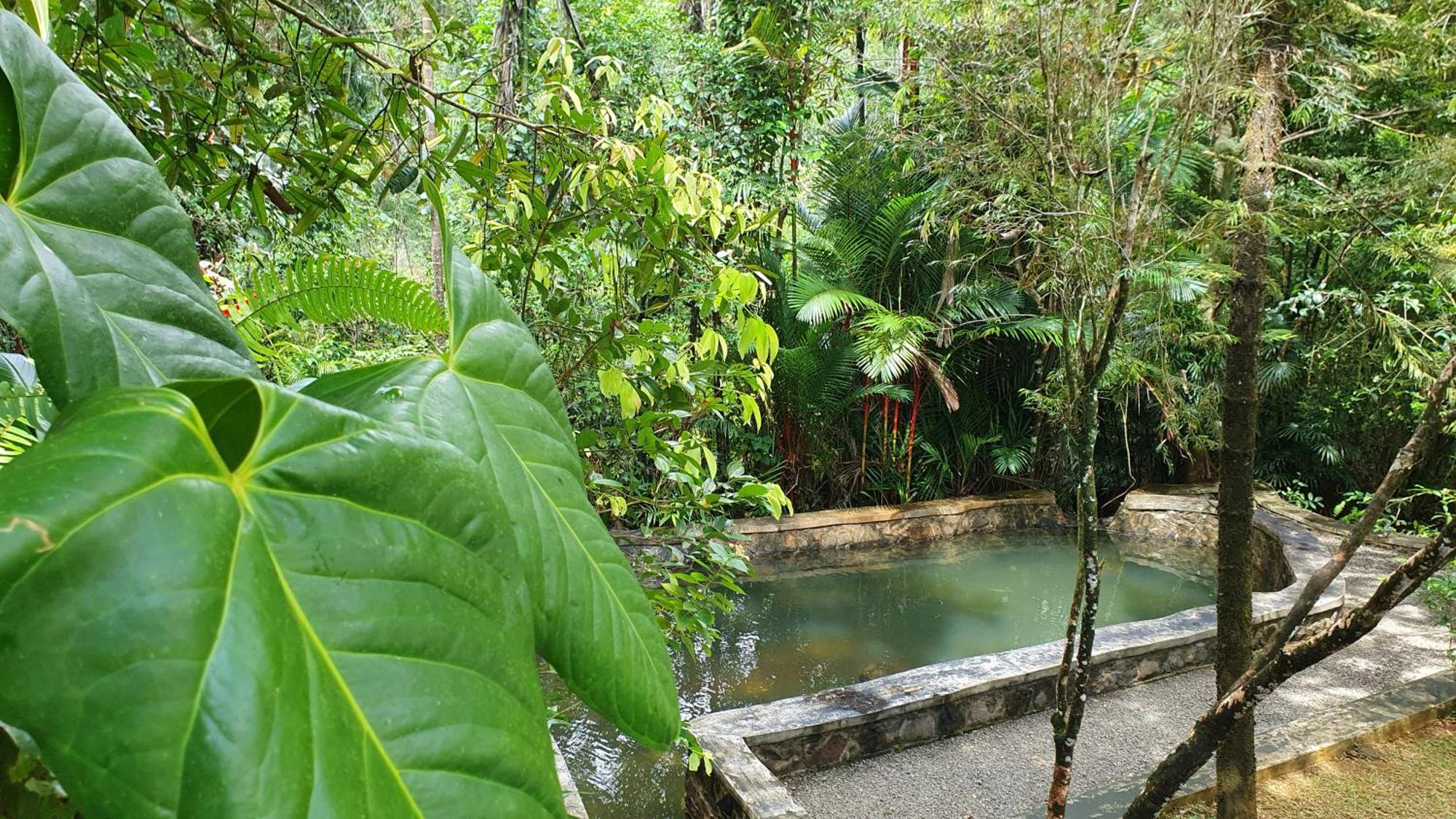 षाले Singharaja Garden Agro Eco