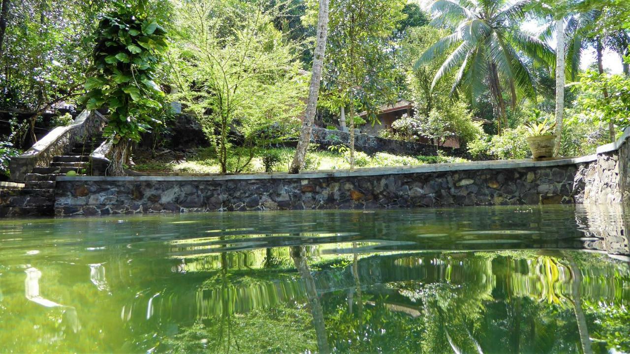 Singharaja Garden Agro Eco षाले Pelawatta (Kalutara)